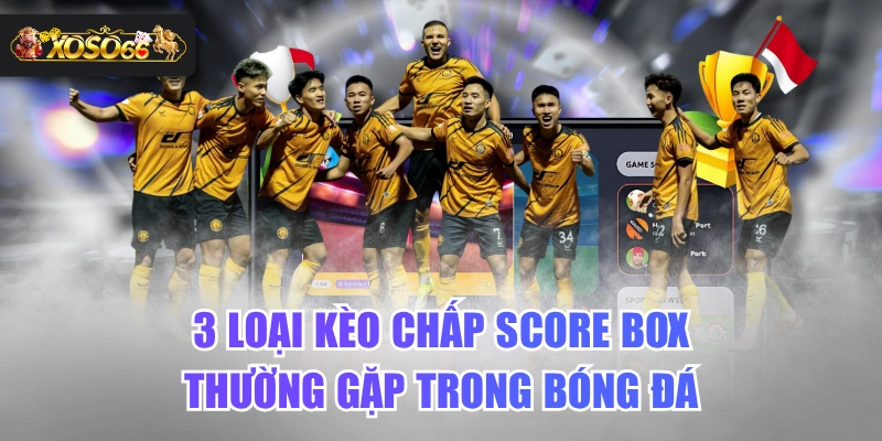 3 Loại Kèo Chấp Score Box Thường Gặp Trong Bóng Đá