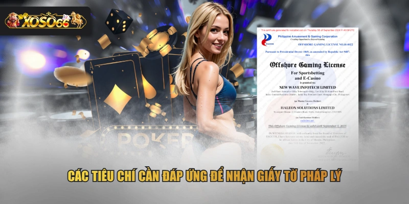 Các tiêu chí cần đáp ứng để nhận giấy tờ pháp lý
