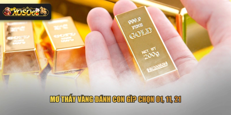 Mơ thấy vàng đánh con gì? Chọn 01, 11, 21